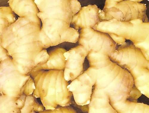 Tell me about ginger production