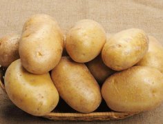 <b>Potato</b>